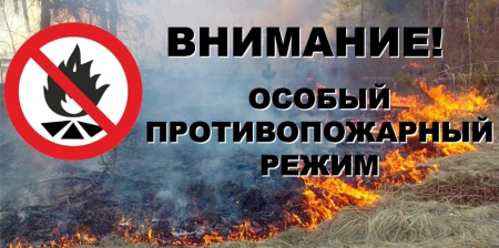 Напоминаем, в Петербурге действует особый противопожарный режим