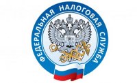 Информация от Управления ФНС России по Санкт-Петербургу